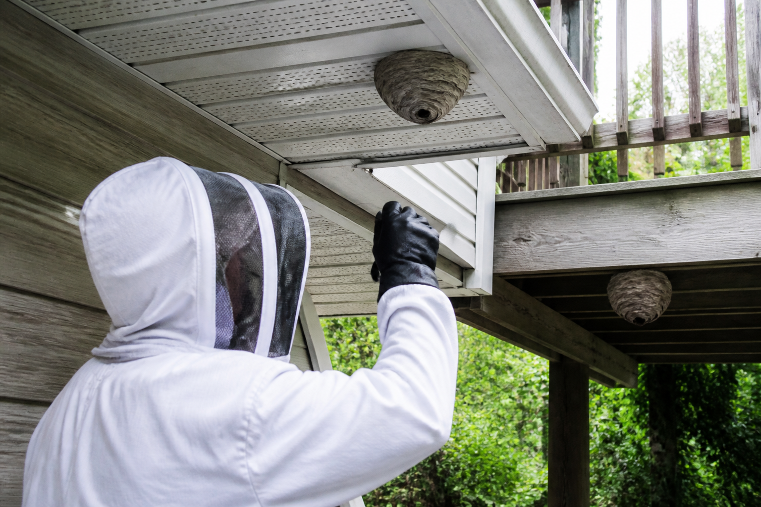 Elimination of Bees and Wasps
